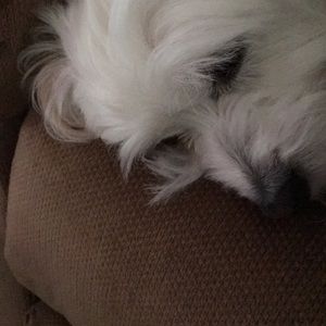 Meet your Posher, Julie